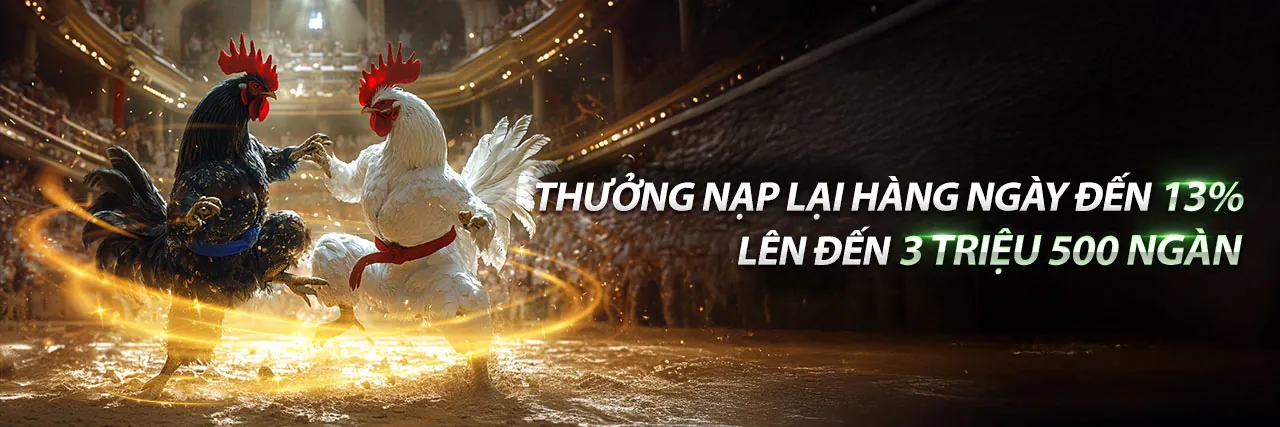 Đá gà trực tuyến hấp dẫn tại KV9999 login